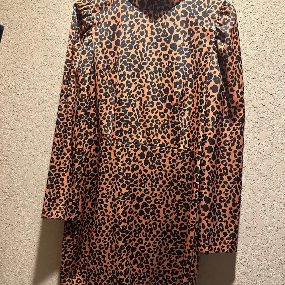 This silk amazing dress!